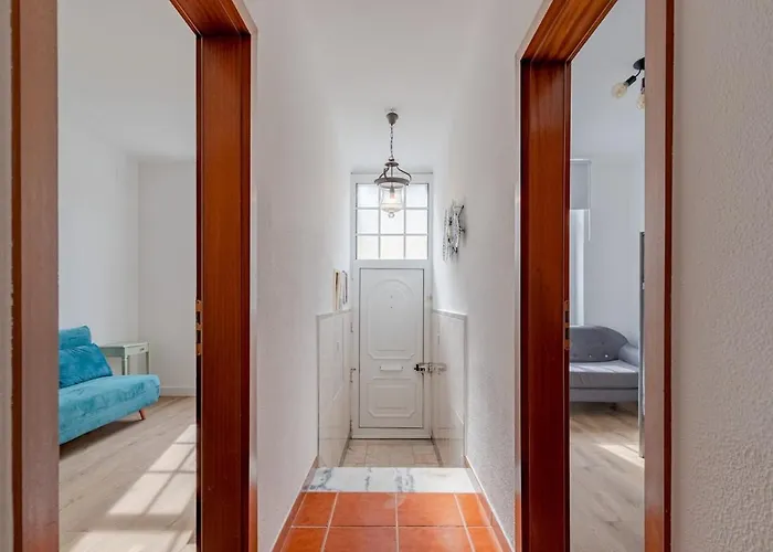 Oasis House 塞图巴尔